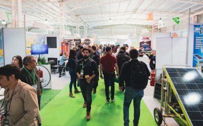 EXPONOR 2026 abre nuevas oportunidades de negocio para 50 PYMEs de todo Chile