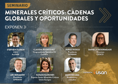 Seminario 4: “Minerales Críticos: Cadenas Globales y Oportunidades”